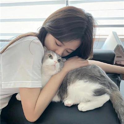 猫儿历险记国语